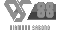 Visa partner logo